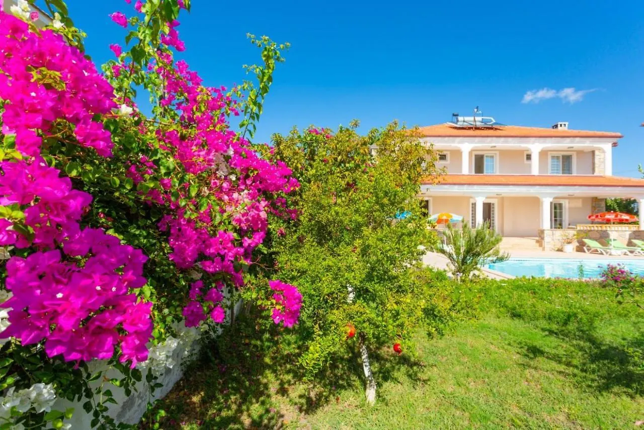 Villa Kubra Dalyan 0*,  Turkey
